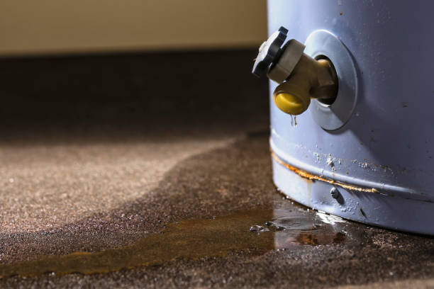 Best Water damage cleanup near me  in Charlotte Harbor, FL