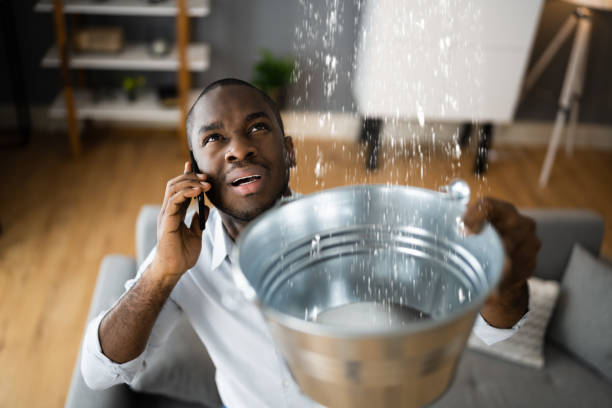 Best Water damage restoration company  in Charlotte Harbor, FL