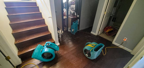 Best Water damage restoration near me  in Charlotte Harbor, FL