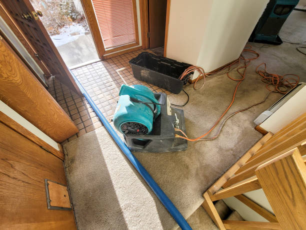Best Fire Damage Restoration  in Charlotte Harbor, FL