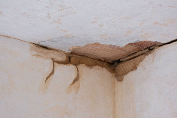 Best Carpet water damage restoration  in Charlotte Harbor, FL
