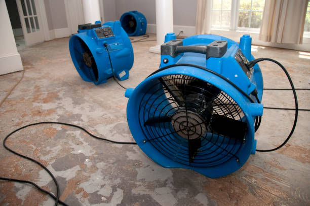 Best Water damage contractors near me  in Charlotte Harbor, FL
