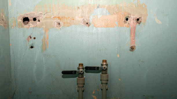 Best Ceiling water damage repair  in Charlotte Harbor, FL