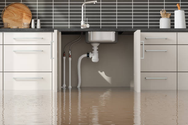 Best Water damage restoration experts  in Charlotte Harbor, FL