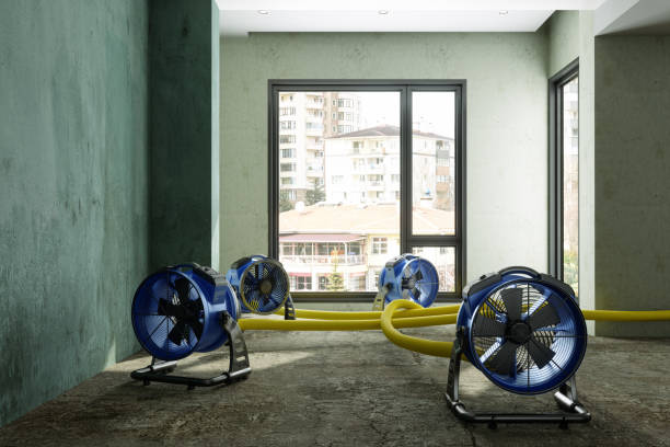 Best Local water damage restoration  in Charlotte Harbor, FL